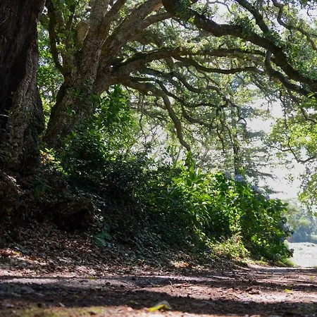 Exclusivo Pazo Gallego En Rias Baixas 别墅 *